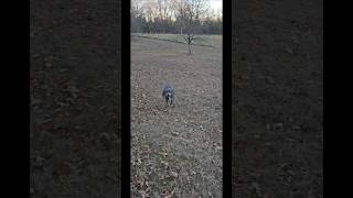 Download Lagu Find your place! MP3