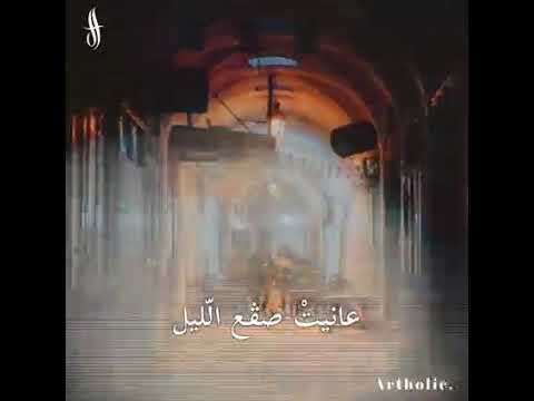 عانيت صقع الليل كافون
