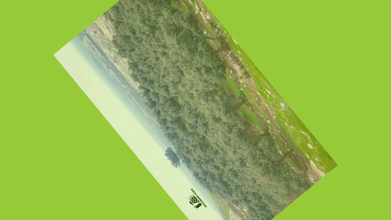 تاريخ الفاضلية مدينة اُم الزيتون - محافظة نينوى