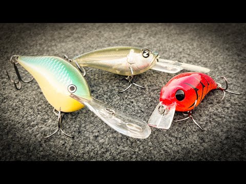 Summer Crankbaits That Keep Catching Fish During The Fall Transition! 