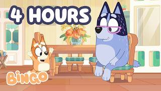 🔴 LIVE: Can Bingo Do A Handstand?! 🧡 | 4 Hours Of Hard Work | Bingo - Official