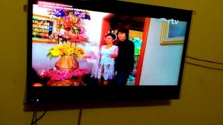 Ketika cinta harus memilih ILmy