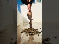 ASMR Peanut Shells Crunch – Heels to Barefoot Sounds 👠🥜🦶🏻💥