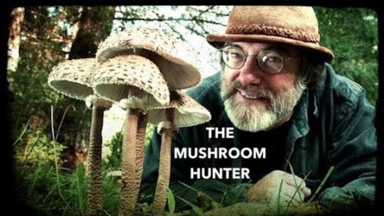The  Mushroom  Hunter | full body Chills picture