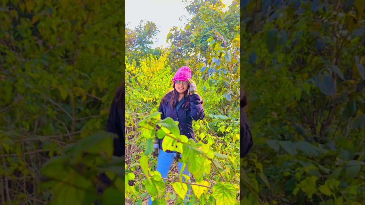 FA9LA Style 🎶📸❤️ 