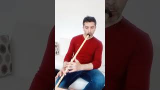 Ferdi Tayfur - Sanma Sana Dönerim - Ney - Ney Denemelerim