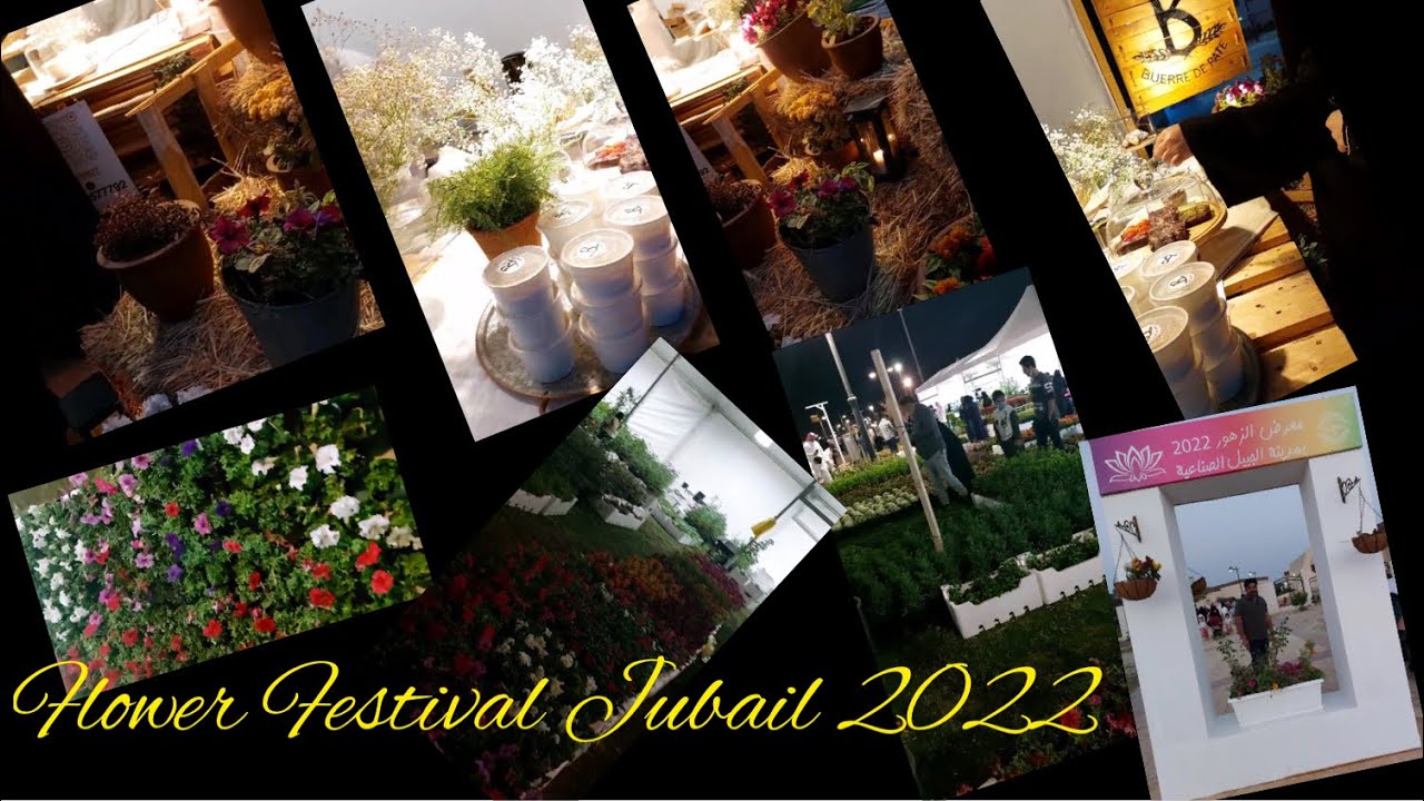 Flower Festival Jubail💐 night Must visit this place 💯 YouTube