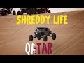 Shreddy life qatar