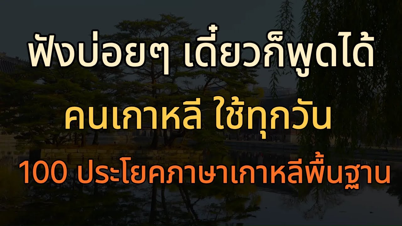 ภาษาเกาหลีพื้นฐาน 100 ประโยค | คนเกาหลี ใช้ทุกวัน ฟังบ่อยๆ เดี๋ยวก็พูดได้