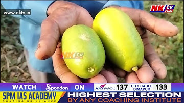 অসম কৃষি বিশ্ববিদ্যালয়ৰ এক বিশেষ প্ৰযুক্তি কৌশল উদ্ভাৱন