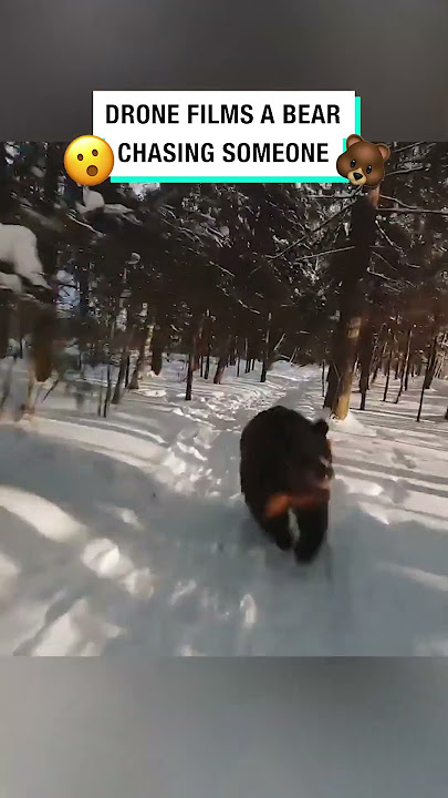Drone films a bear chasing someone