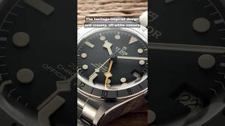 The Biggest Problem With The Tudor Black Bay Pro