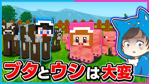 ちろぴのはえ ちろぴのはえ