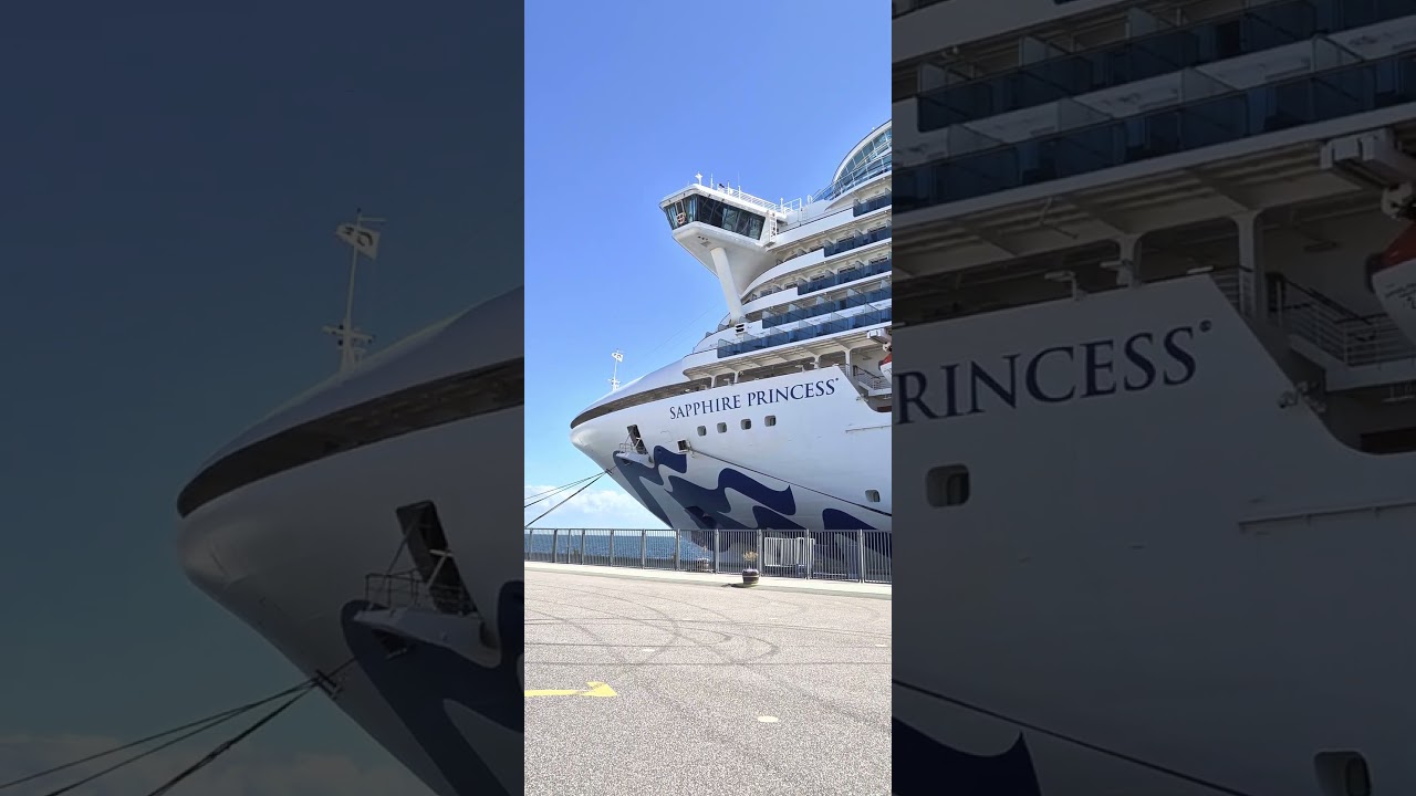 🇩🇰 "Sapphire Princess"-"AIDAnova"🛳⛴️