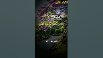 #القرآن_الكريم #قران_كريم #قرآن #quran #سورة_البقرة #سورة_الكهف #تلاوة_خاشعة #آيات #تلاوة #سورة_يس