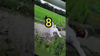 funny comedy compilation videos 5 #funny #funnyshorts #funnyvideo
