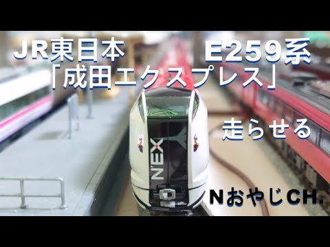 JR東日本 E系成田エクスプレスNゲージ〈KATO 〉