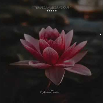 story'SH Terate kata-kata mutiara mantul