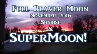 Supermoon and Sun Rise November 14, 2016 Profile