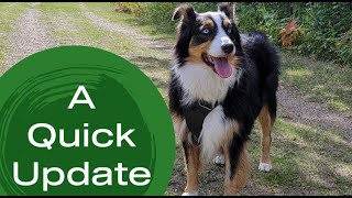 Quick update - Where have I been these past 3 months? by Animal Scholar 1,367 views 2 years ago 5 minutes, 46 seconds