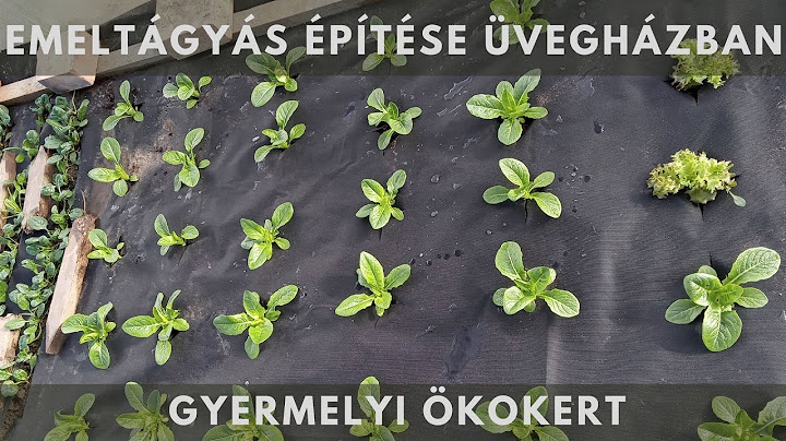 Emeltágyás építése üvegházban
