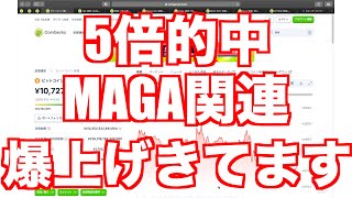 MAGAが止まらない🚀🚀🚀爆益狙えるか？🍀