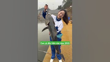 em học sinh cá biệt đi câu cá mè hồ dịch vụ gặp anh chủ hồ vui tính cho hẳn con ngống #short#fishing