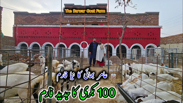 Modern High Tech Goat Farm Of 100 Goats - The Sarwar Goat Farm 