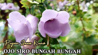 Pujian Jawa Kuno ( OJO SIRO BUNGAH BUNGAH ) || Tedjo Dembik || Adin Guitars Service Studio
