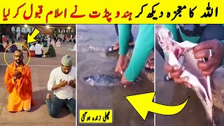 Top 6 Miracles Of ALLAH In The World | ALLAH Ka Mojza | NYKI