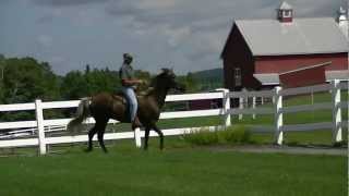 CGF Absolutely A Beauty video