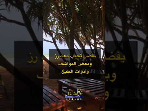 سريلانكا افضل المدن والاسعار نقمبو كاندي جنة الدنيا نوراليا بنتوته