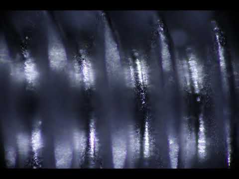 Microscopic 3D Metrology