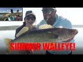 Summer Transition for Walleye! | Pike Fishing TOO!!