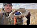 ОХОТА НА УТКУ 2022, тысячи 🦆, охота в Казахстане, в Егинсу, в Жетысу, как стрелять утку, селезня