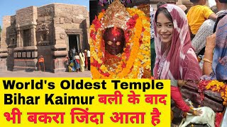 बकरे की बलि देने पर नहीं गिरता खून😱 || Mystery Of Mundeshwari Temple🤫 || mundeshwari temple bihar