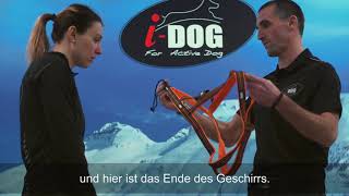 I-DOG | X-Back One | Hundegeschirr | X-WILD