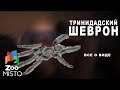 Тринидадский шеврон - Все про отряд членистоногих | Вид паука тринидадский шеврон