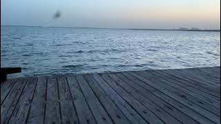 Justin Bieber - Peaches ( Slowed To Perfection )