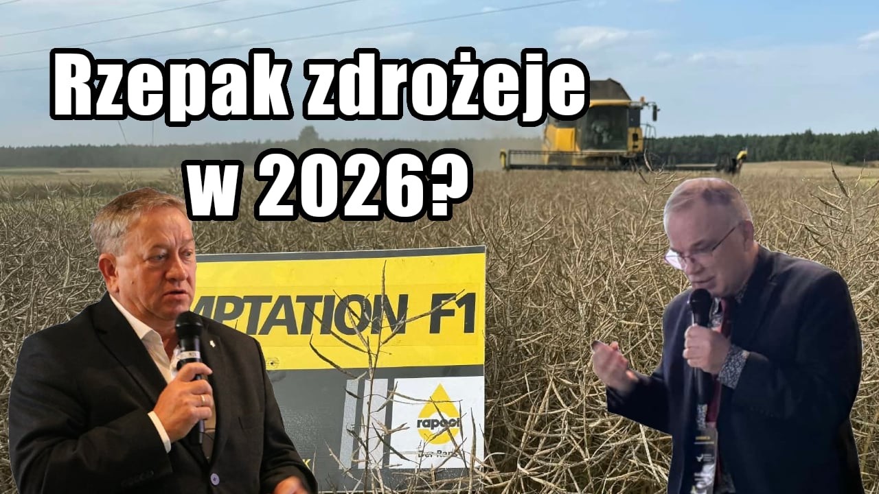 Co dalej z cenami rzepaku i jak skutecznie go nawozić by uzyskać wysoki plon i zysk?