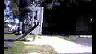 backyard grass gap
