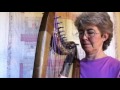 Double Strung Harp Tutorial 37 THERAPY techniques