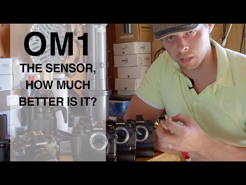 OM1 Sensor, Everything You Need to Know