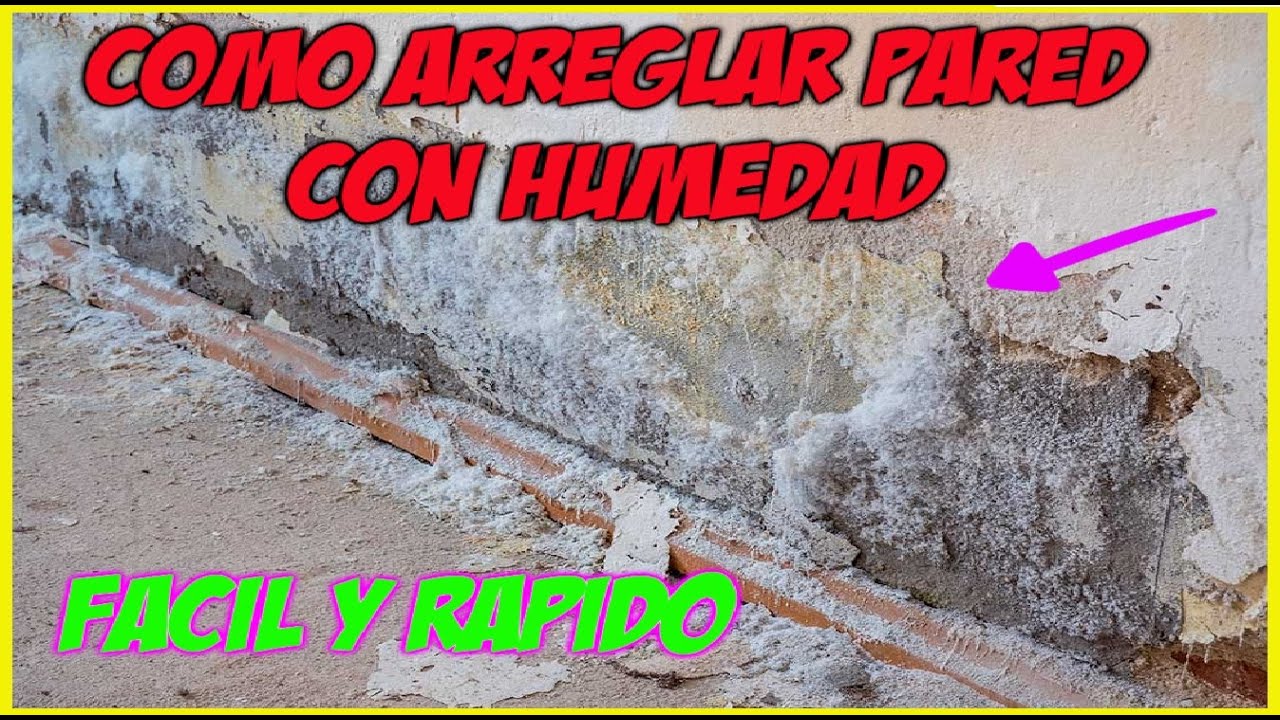 Cuáles son los tipos de humedad en las paredes