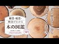 ブックトレイラー『板目・柾目・木口がわかる木の図鑑　日本の有用種101』