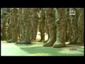 كواليس أوبريت الجنادرية الملغى قبلة النور 2013 كواليس أوبريت الجنادرية الملغى قبلة النور 2013