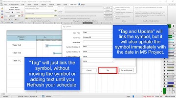 Link Symbols to MS Project - Milestones Professional Tutorial