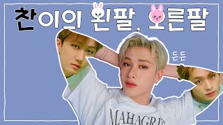 [스키즈] 리더 방찬의 왼팔, 오른팔은 토끼즈🐰