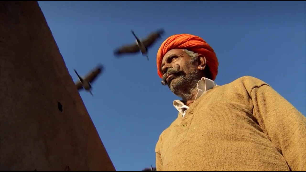 The Cranes of Khichan Rajasthan India    from Deserts Living in Extremes