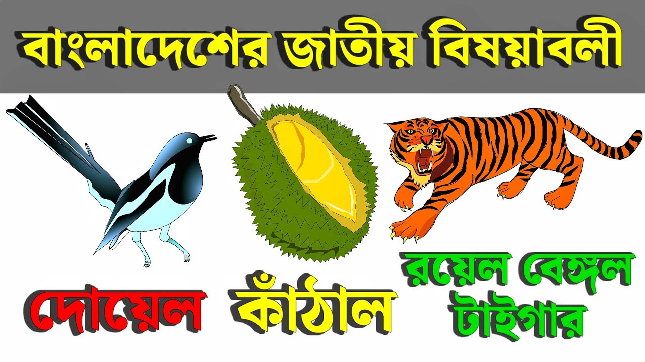 শিশুদের সাধারণ ঞ্জান | বাংলাদেশের জাতীয় বিষয়াবলী | Kids General Knowledge